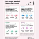 Graphic detailing four ways that alcohol can cause cancer