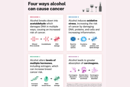 Graphic detailing four ways that alcohol can cause cancer