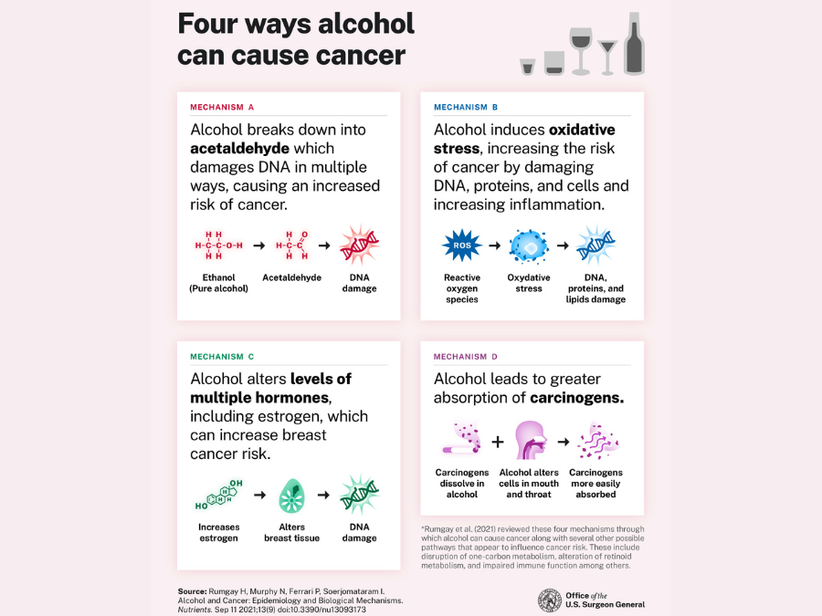 Graphic detailing four ways that alcohol can cause cancer