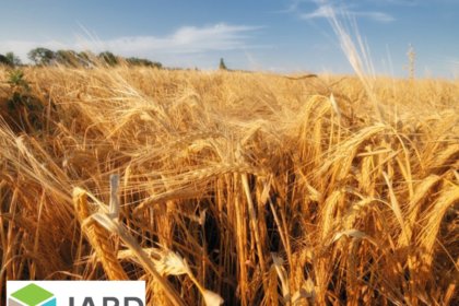 A field of barley plus the logo for IARD