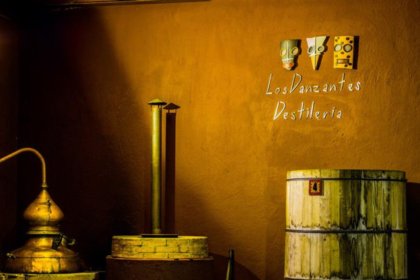 Interior of Los Danzantes distillery