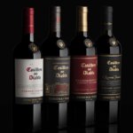 Four varietals of Casillero del DIablo