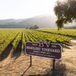 Beaulieu Vineyard sign in front of vineyard
