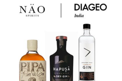 Nao Spirits portfolio