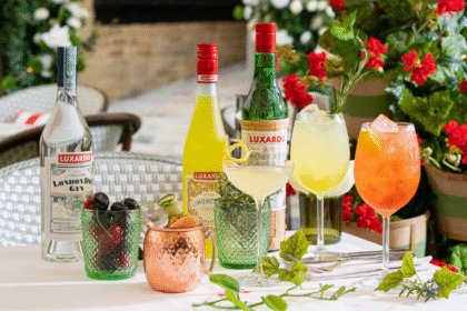 Luxardo bottles and glasses