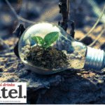 A lightbulb on the ground with a plant growing inside
