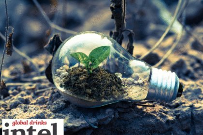 A lightbulb on the ground with a plant growing inside