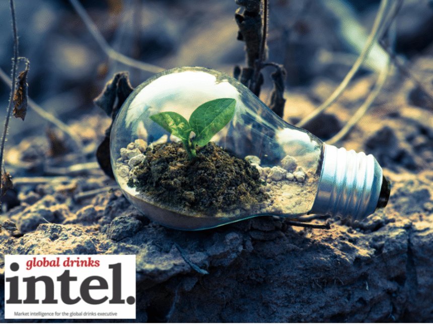 A lightbulb on the ground with a plant growing inside