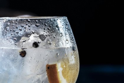 Gin and tonic serve