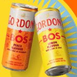 Gordon's BOS G&Tea