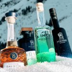 Pegasus Distillerie portfolio