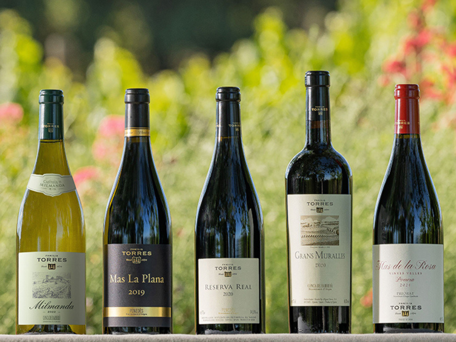 Familia Torres five bottles
