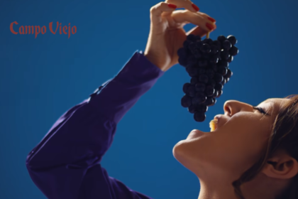 Campo Viejo TV advert