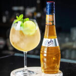 Lucas Bols Apricot Brandy Spritz