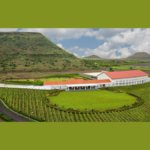 Chandon India winery in Nashik, Maharashtra