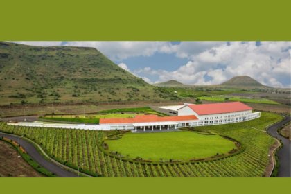 Chandon India winery in Nashik, Maharashtra