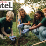 Volunteers planting a tree