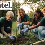 Volunteers planting a tree