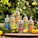Coppa Cocktails range