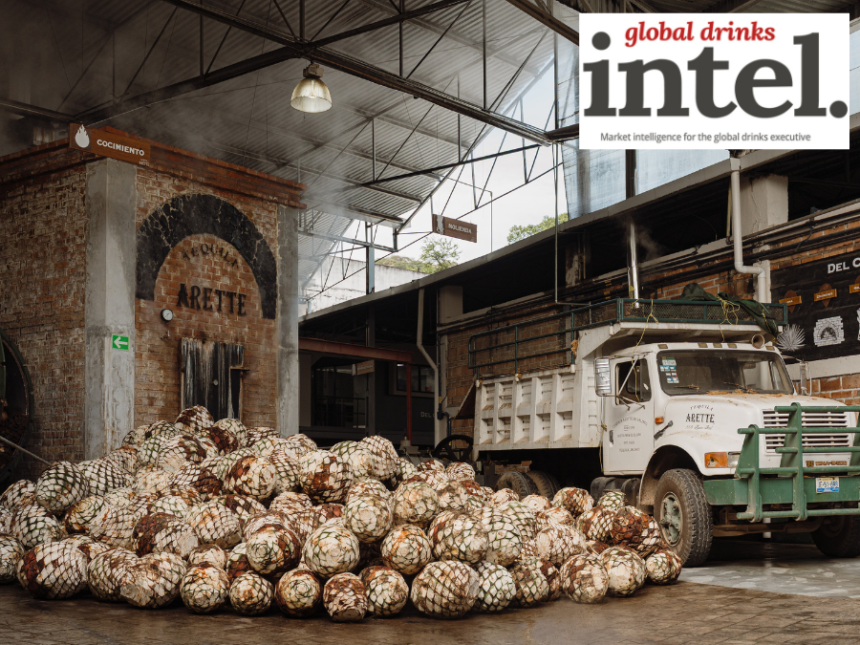 Agave hearts at Tequila Arette distillery
