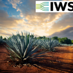 Agave plants at sunset with IWSR logo