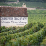 Domaine Pierre Damoy vineyards