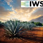 Agave plants at sunset with IWSR logo
