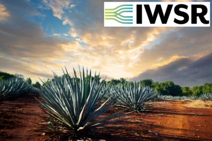 Agave plants at sunset with IWSR logo