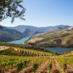 Quinta de Ventozelo