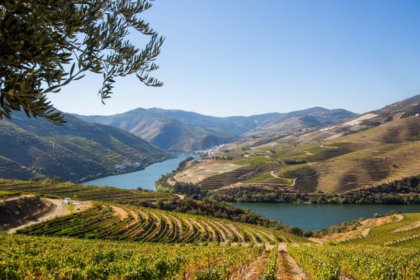 Quinta de Ventozelo