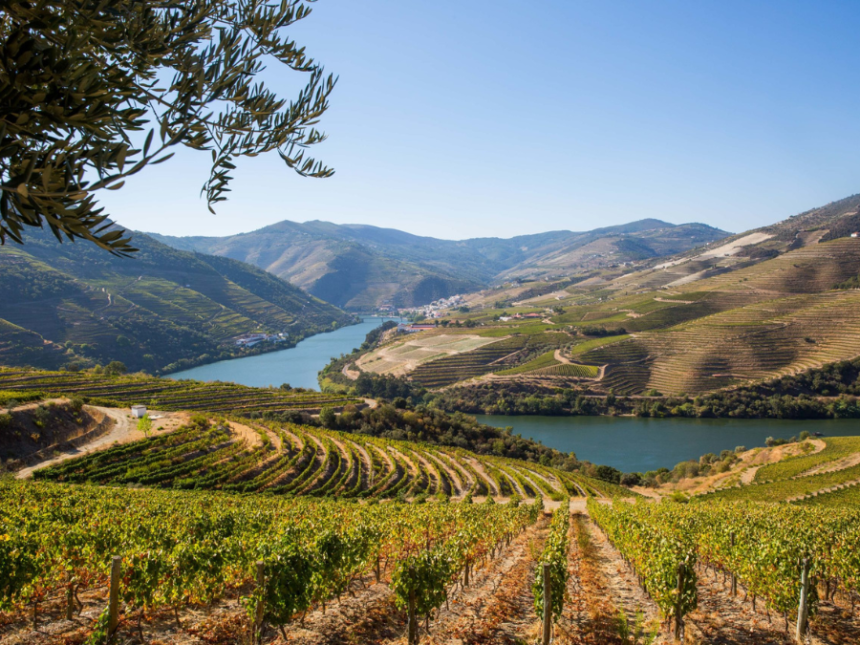 Quinta de Ventozelo