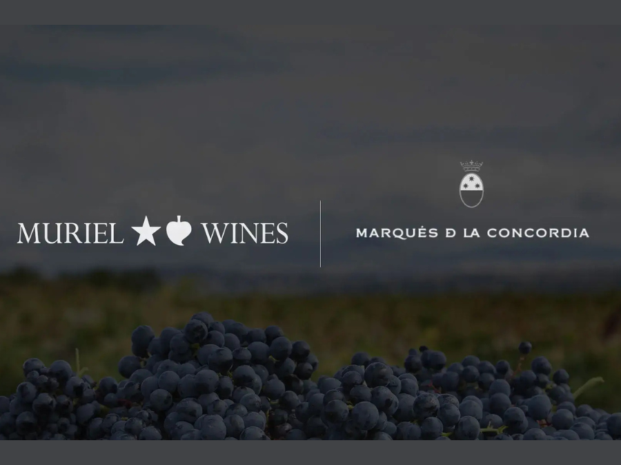 Muriel Wines buys Marqués de la Concordia