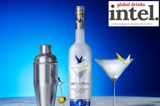 Grey Goose Classic Martini Cocktail bottle with martini serve